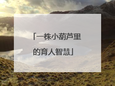 一株小葫芦里的育人智慧