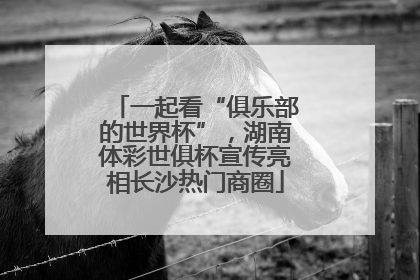 一起看“俱乐部的世界杯”，湖南体彩世俱杯宣传亮相长沙热门商圈