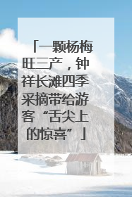 一颗杨梅旺三产，钟祥长滩四季采摘带给游客“舌尖上的惊喜”