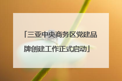 三亚中央商务区党建品牌创建工作正式启动