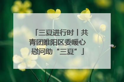 三夏进行时丨共青团睢阳区委暖心慰问助“三夏”