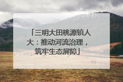 三明大田桃源镇人大：推动河流治理，筑牢生态屏障