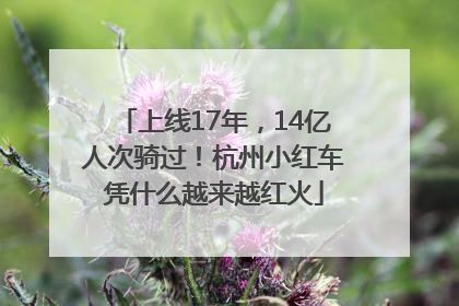 上线17年，14亿人次骑过！杭州小红车凭什么越来越红火