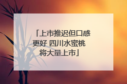上市推迟但口感更好 四川水蜜桃将大量上市