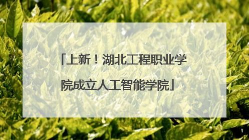 上新！湖北工程职业学院成立人工智能学院