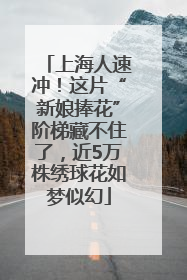 上海人速冲！这片“新娘捧花”阶梯藏不住了，近5万株绣球花如梦似幻