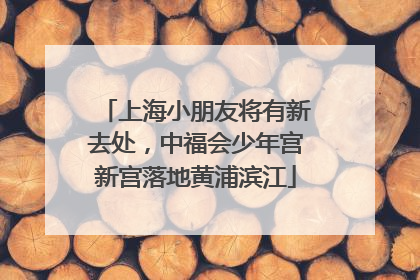 上海小朋友将有新去处，中福会少年宫新宫落地黄浦滨江