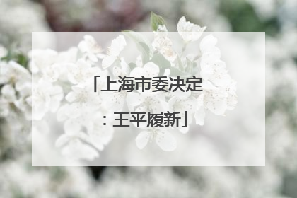 上海市委决定：王平履新