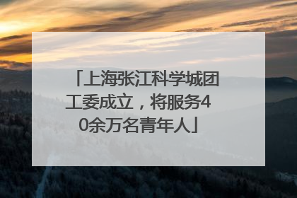 上海张江科学城团工委成立，将服务40余万名青年人