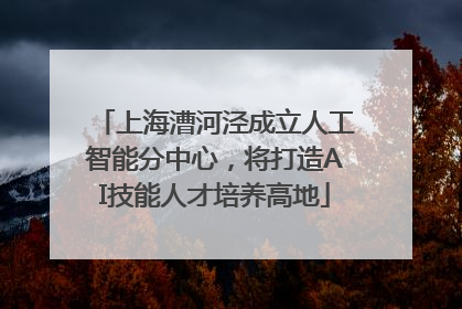 上海漕河泾成立人工智能分中心，将打造AI技能人才培养高地