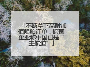 不断拿下高附加值船舶订单，跨国企业称中国已是“主航道”