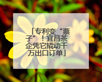 专利变“票子”！宜昌茶企凭它撬动千万出口订单