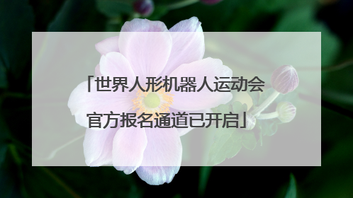 世界人形机器人运动会官方报名通道已开启