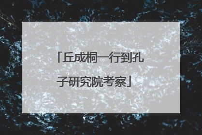 丘成桐一行到孔子研究院考察