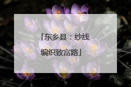 东乡县：纱线编织致富路