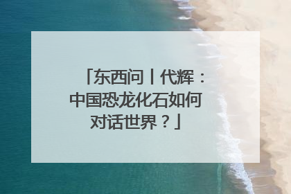 东西问丨代辉：中国恐龙化石如何对话世界？