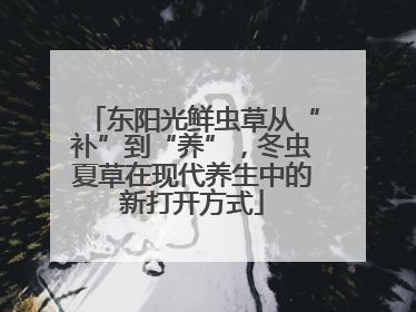 东阳光鲜虫草从“补”到“养”，冬虫夏草在现代养生中的新打开方式