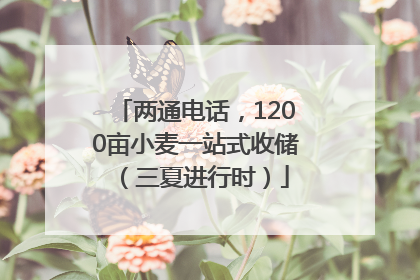 两通电话，1200亩小麦一站式收储（三夏进行时）