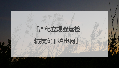 严纪立规强运检 精技实干护电网