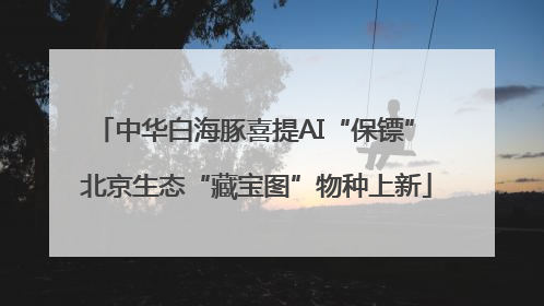 中华白海豚喜提AI“保镖” 北京生态“藏宝图”物种上新