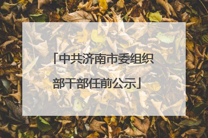 中共济南市委组织部干部任前公示