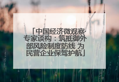 中国经济微观察·专家谈构：筑抵御外部风险制度防线 为民营企业保驾护航
