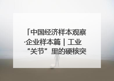 中国经济样本观察·企业样本篇｜工业“关节”里的硬核突围——老企业洛轴创新蝶变启示录