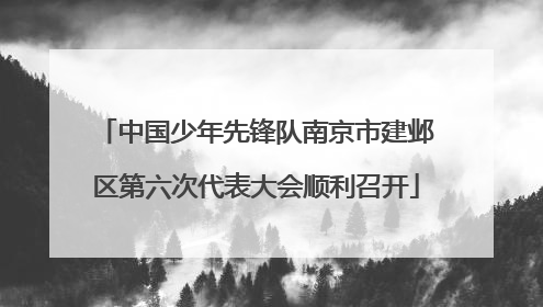 中国少年先锋队南京市建邺区第六次代表大会顺利召开