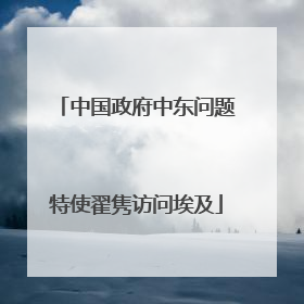 中国政府中东问题特使翟隽访问埃及