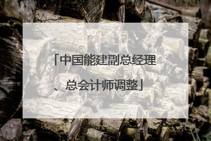 中国能建副总经理、总会计师调整