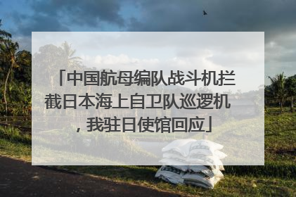 中国航母编队战斗机拦截日本海上自卫队巡逻机，我驻日使馆回应