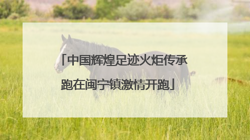 中国辉煌足迹火炬传承跑在闽宁镇激情开跑