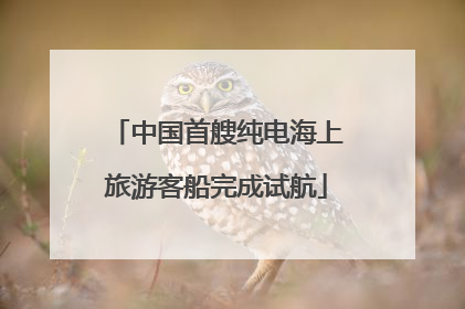 中国首艘纯电海上旅游客船完成试航