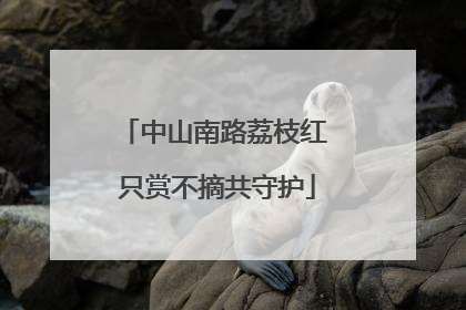 中山南路荔枝红 只赏不摘共守护