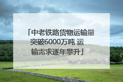 中老铁路货物运输量突破6000万吨 运输需求逐年攀升