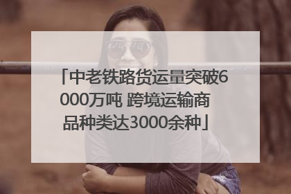 中老铁路货运量突破6000万吨 跨境运输商品种类达3000余种