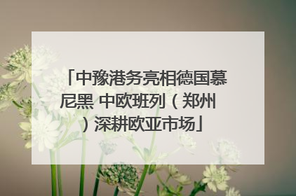 中豫港务亮相德国慕尼黑 中欧班列（郑州）深耕欧亚市场