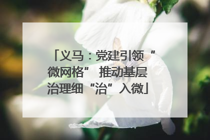 义马：党建引领“微网格” 推动基层治理细“治”入微