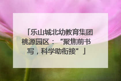 乐山城北幼教育集团桃源园区：“聚焦前书写，科学助衔接”