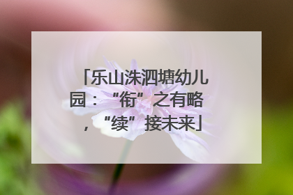 乐山洙泗塘幼儿园：“衔”之有略，“续”接未来