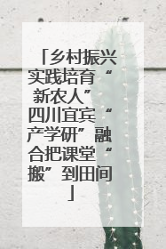 乡村振兴实践培育“新农人” 四川宜宾“产学研”融合把课堂“搬”到田间