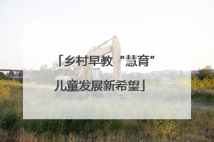 乡村早教“慧育”儿童发展新希望