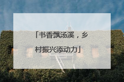 书香飘汤溪，乡村振兴添动力