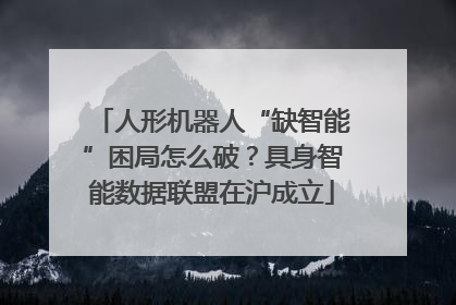 人形机器人“缺智能”困局怎么破？具身智能数据联盟在沪成立