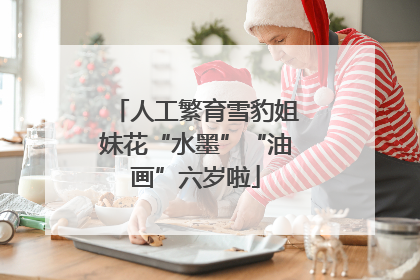 人工繁育雪豹姐妹花“水墨”“油画”六岁啦