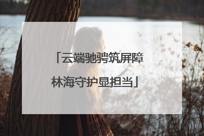 云端驰骋筑屏障 林海守护显担当