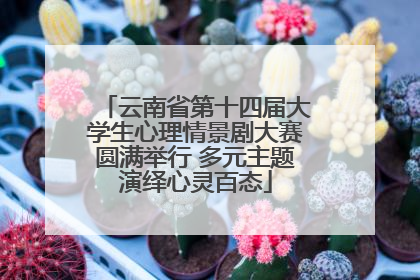 云南省第十四届大学生心理情景剧大赛圆满举行 多元主题演绎心灵百态