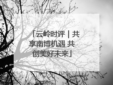 云岭时评｜共享南博机遇 共创美好未来