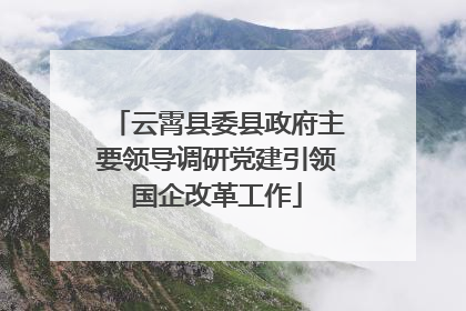 云霄县委县政府主要领导调研党建引领国企改革工作