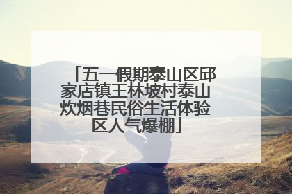 五一假期泰山区邱家店镇王林坡村泰山炊烟巷民俗生活体验区人气爆棚
